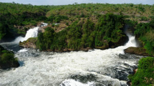 Short Wildlife Safari Tours from Kampala: The Ultimate Guide to Uganda's Best Parks and Hidden Gems
