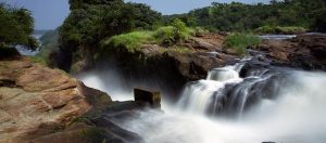 Uganda Wildlife Safaris and Game Drives: 17 Epic Destinations