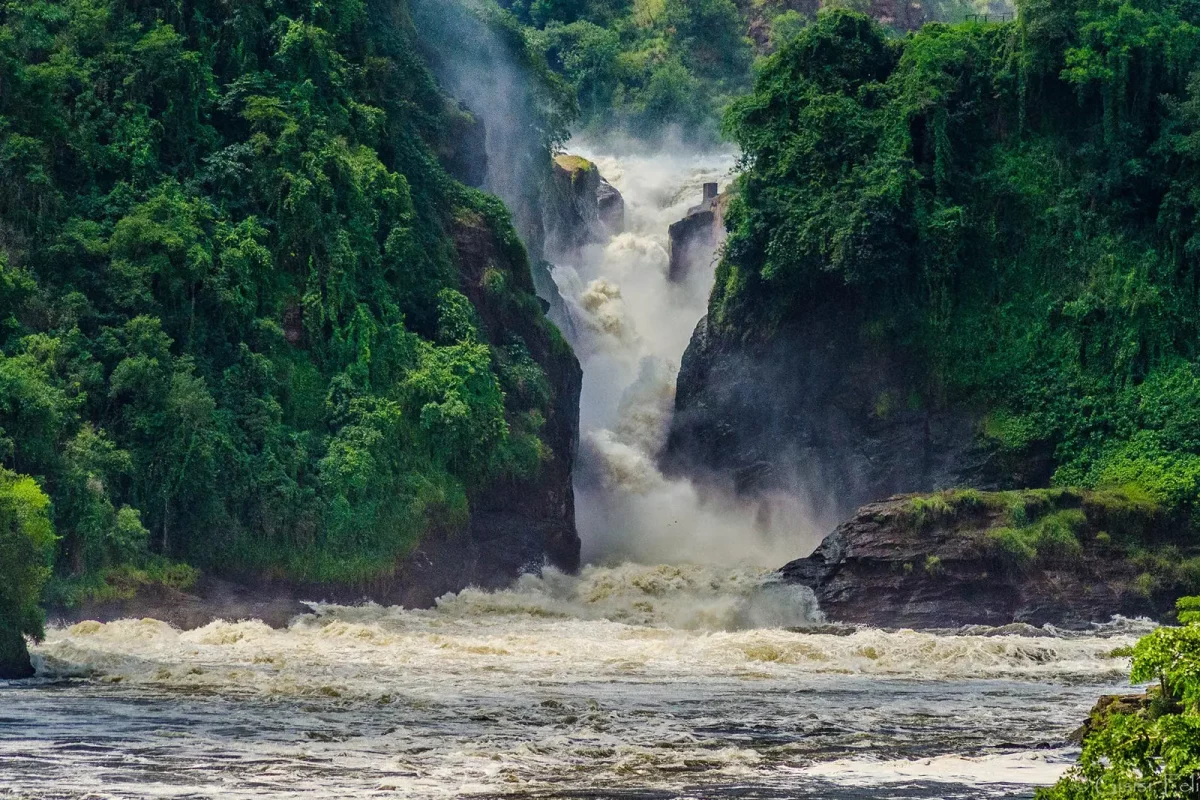Uganda Safari Guide: Everything First-Time Travellers Need to Know Uganda Safari Guide: Everything First-Time Travellers Need to Know