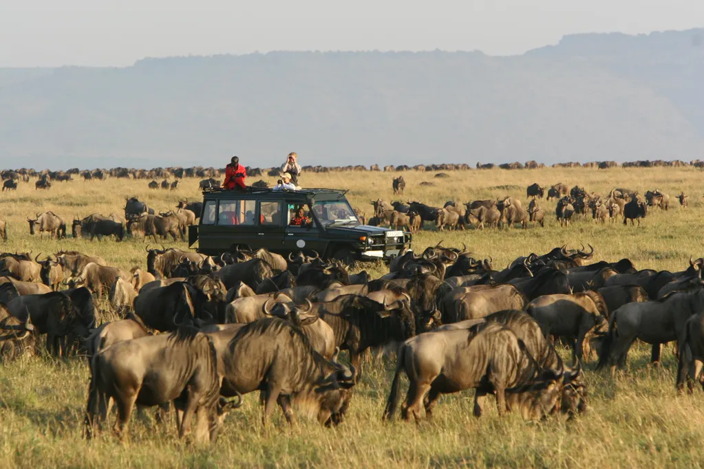 Combined East African Safaris, Tours and Holidays Combined East African Safaris, Tours and Holidays
