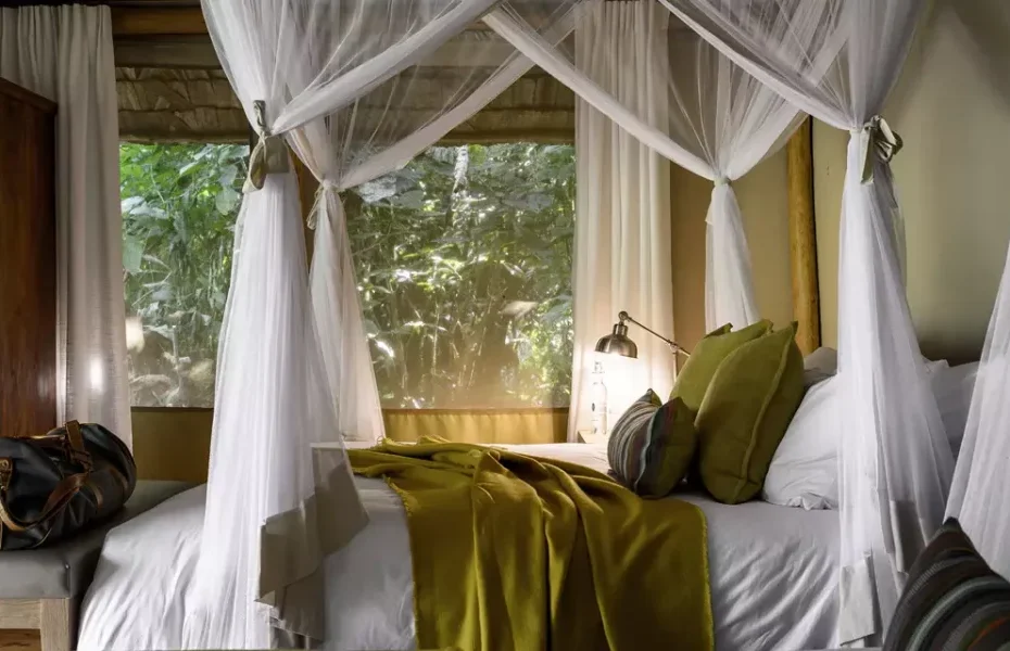 Sanctuary Gorilla Forest Camp, Bwindi Sanctuary Gorilla Forest Camp, Bwindi