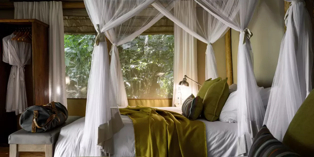 Gorilla Forest Lodge: Formerly Sanctuary Gorilla Forest Camp Gorilla Forest Lodge