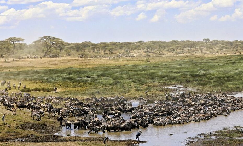 What Is Special About Tarangire National Park?