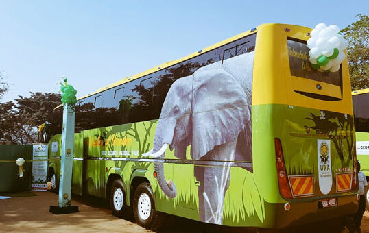 Tulambule. A philosophy behind authentic, organic, and localised Travel