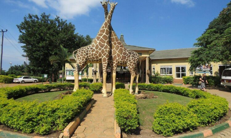 Uganda Wildlife Education Center - Entebbe Zoo Uganda Wildlife Education Center - Entebbe Zoo