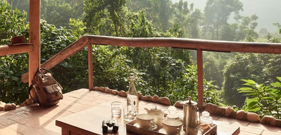 Incredible Uganda Gorilla Trekking Cost Guide 2026/2027