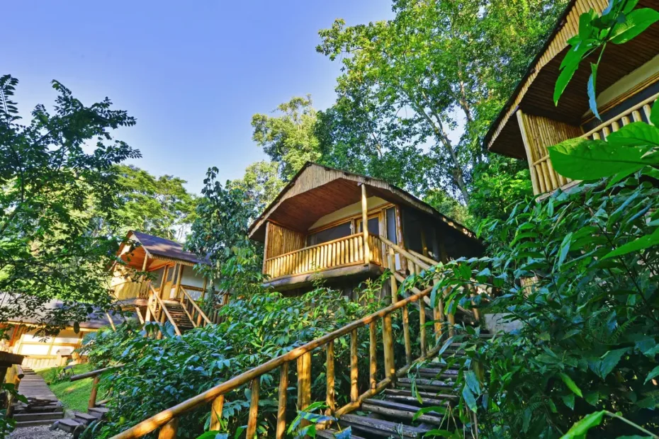 Where to Stay in Buhoma Sector of Bwindi: 9 Best Lodges