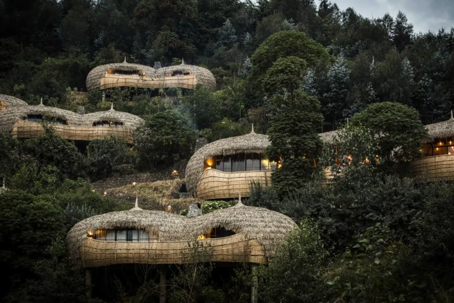 Lodges in Rwanda: Top 20 Best Value Hotels & Lodges in Rwanda for Your Gorilla Safari