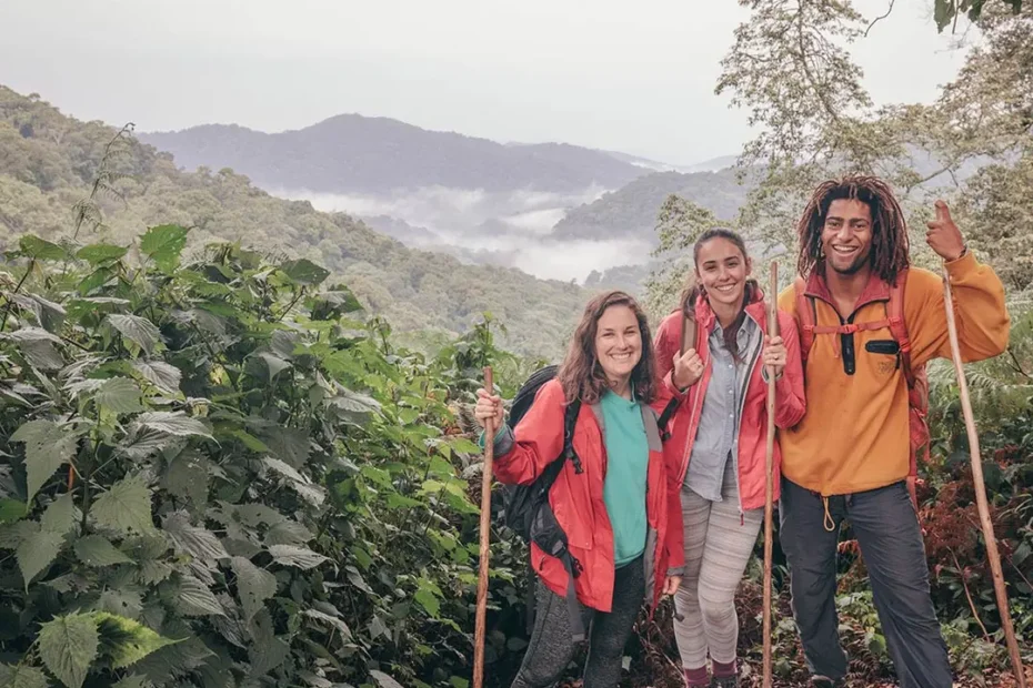 Best Time to Visit Rwanda to See Gorillas in (2026)