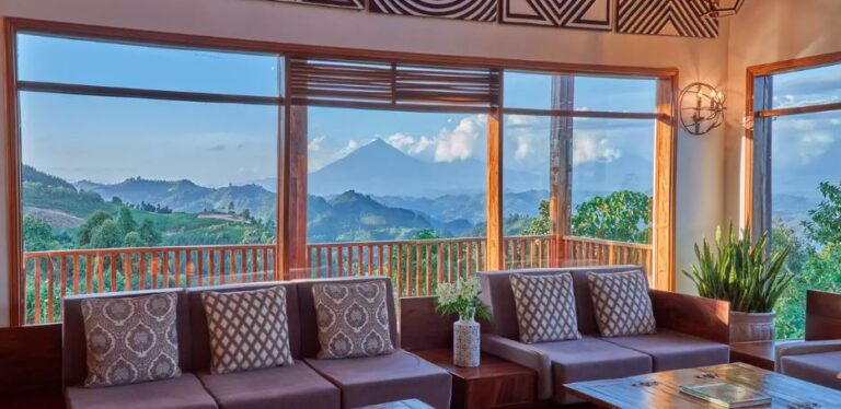 Best Uganda Luxury Safaris: Gorillas, Wildlife and Top Lodges Luxury lodge in Bwindi on a 10-day gorilla trekking and Nile cruise holiday