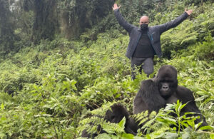 Gorilla Trekking 