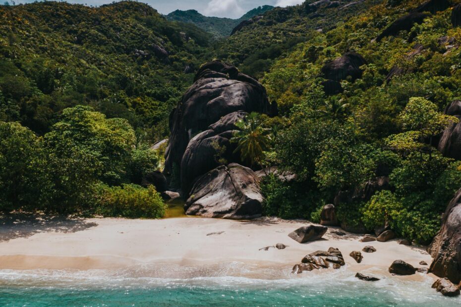 10 Powerful Reasons to Visit Seychelles for Your Next Holiday