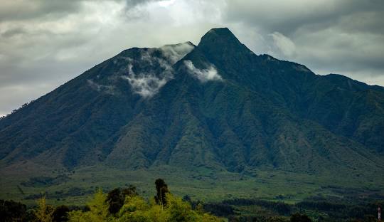Best Gorilla Trekking Uganda: Best Time for Gorilla Trekking Uganda Revealed 2026
