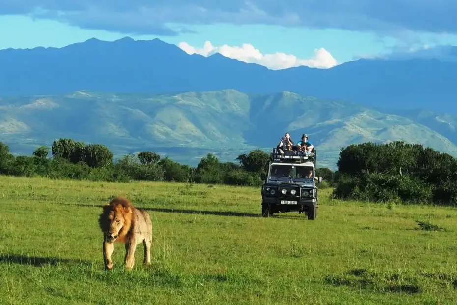Uganda Tour Packages: Best 10 Wildlife Safaris, Adventure Trips & Scenic Getaways