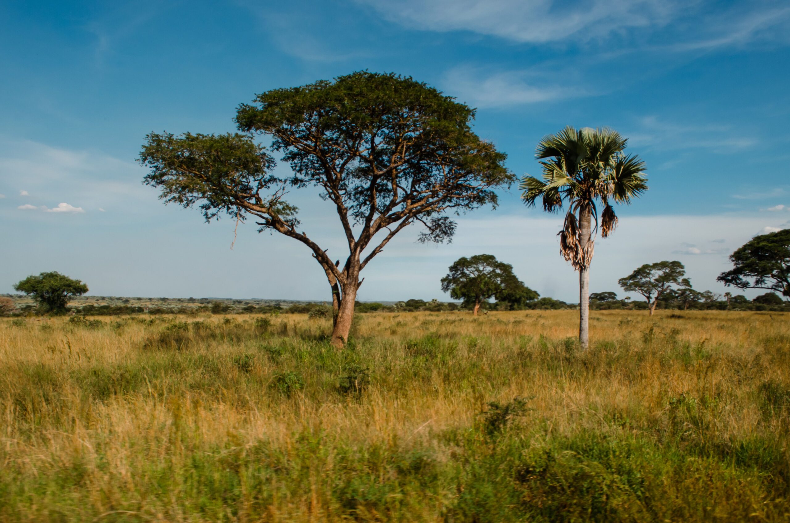 open parks uganda