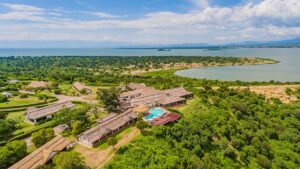 Best Gorilla Trekking Uganda: Best Time for Gorilla Trekking Uganda Revealed 2026
