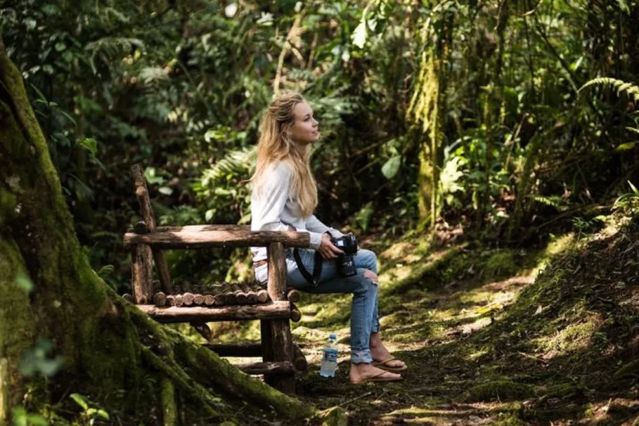 Where Is Bwindi? Location and How to Get There Where is Bwindi? A traveller resting on a forest trail in Bwindi Impenetrable National Park