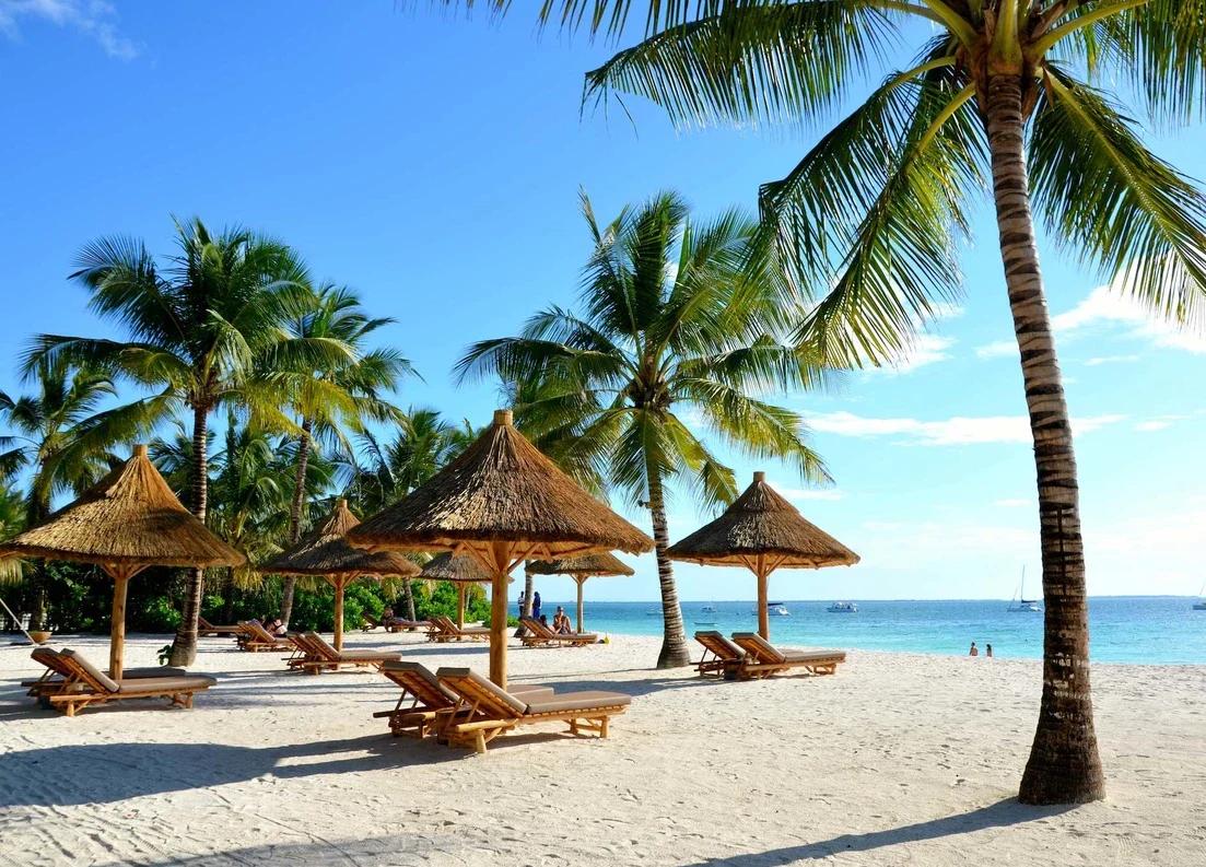 Uganda Safari and Zanzibar Holiday: Wildlife Meets Beach Uganda Safari and Zanzibar Holiday