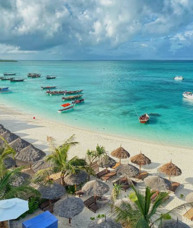 7 Days in Zanzibar | Dolphins, Safari Blue & Sunset Dhow Cruise 7 days in Zanzibar: beach holiday on the Indian Ocean