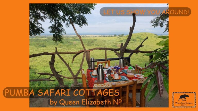 3 Day Queen Elizabeth Safari: Amazing Lions, Hippos and Kazinga Channel Boat Cruise Pumba Safari Cottages, a budget lodge in Queen Elizabeth National Park