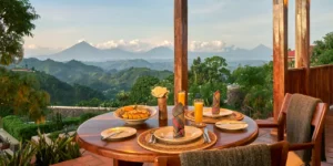 Bwindi Impenetrable Forest: 10 Essential Things Every Traveller Must Know Before Visiting Uganda's Primate Paradise Bwindi Impenetrable Forest