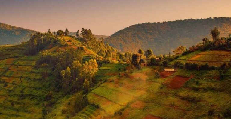 Terraced hills at sunset near the Rushaga sector of southern Bwindi