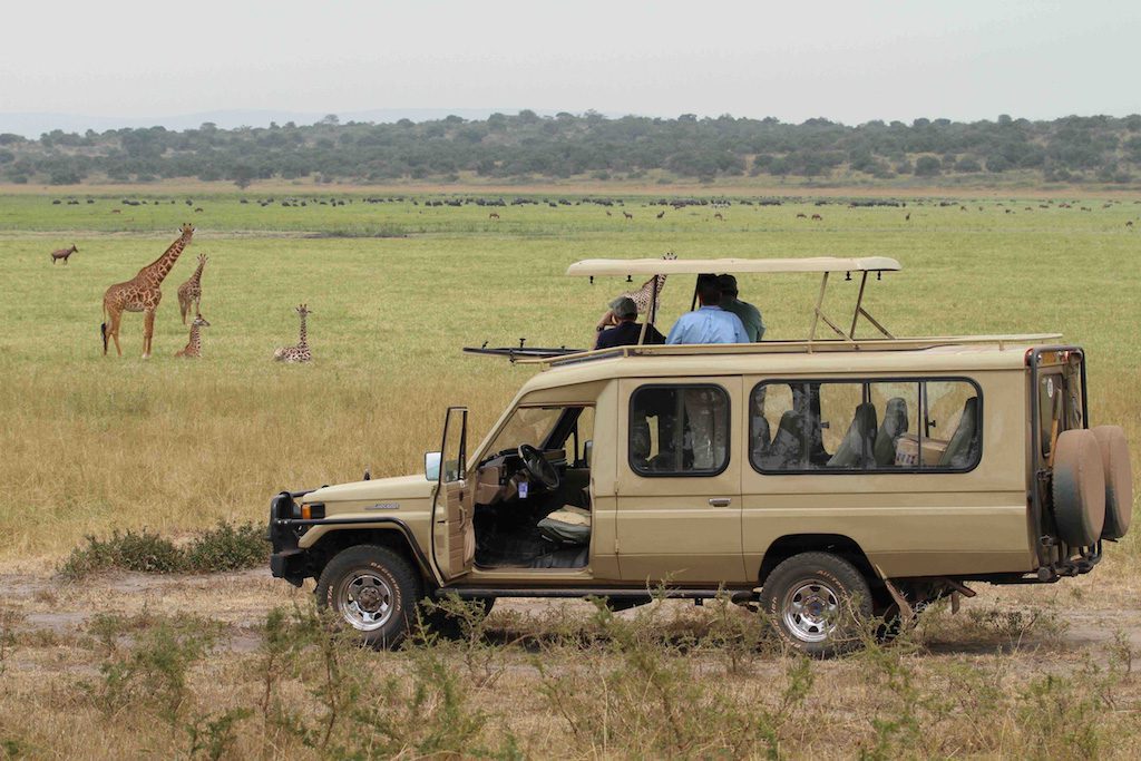 Kidepo National Park: 7 Amazing Things to Do in Uganda’s Wildest Safari Park Game drive in the Kidepo Valley