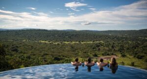 Best Time to Visit Uganda for Safari