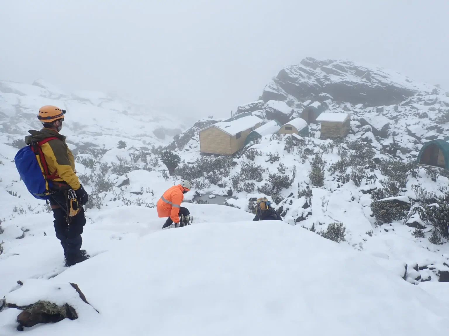 2-Day Rwenzori Mountains Trek - 2,596 Meters 6 Day Rwenzori Trekking Itinerary