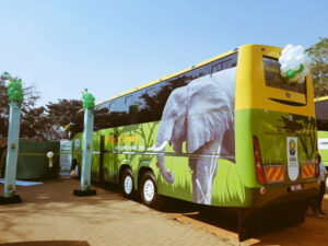 Tulambule Bus 