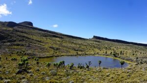 Off the Beaten Track Safaris in Uganda 