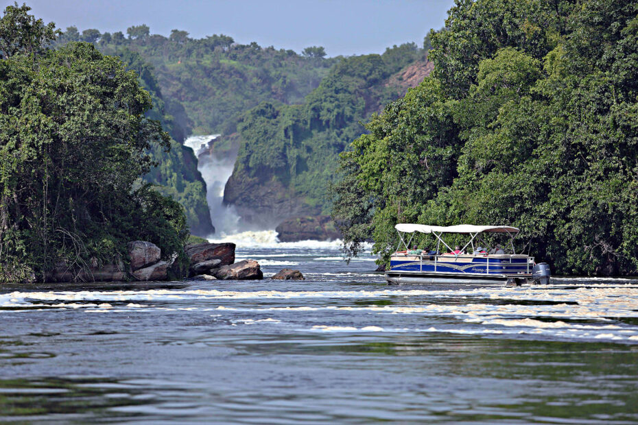 3-Day Murchison Falls Wildlife Safari: Big Game & Beautiful Scenery birding in muchison falls national park