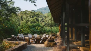 Bwindi and Mgahinga Gorilla Safaris: 10 Best Places to Stay for Gorilla Trekking