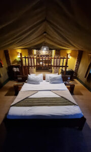 KIBALE FOREST LODGE 