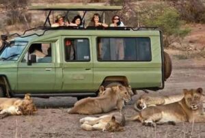 Is Uganda Safe for Safari