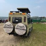 7 Best Uganda Safari Packages for Wildlife and Gorilla Trekking: Top Safari Guide 2026/2027