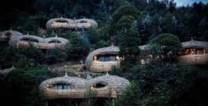 Uganda vs Kenya for Safari: How Rwanda Compares (And Why Uganda Wins for First-Timers)
