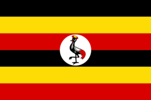Uganda Visa Requirements: 7 Essential Things Every Traveller Must Know Uganda Visa Requirements