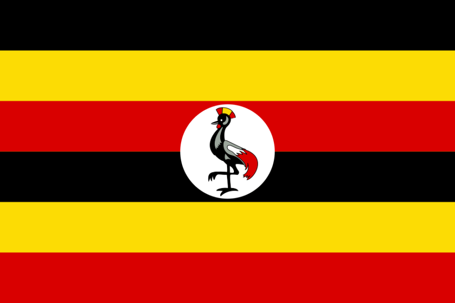Uganda Visa Requirements: 7 Essential Things Every Traveller Must Know