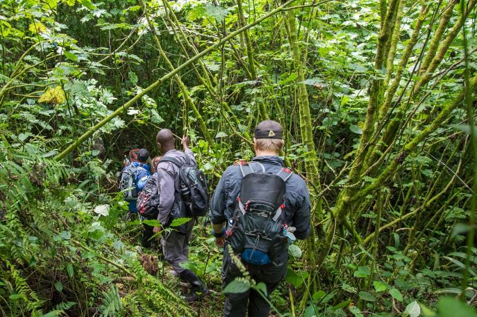 Uganda Travel Advisory on Ebola: What Changed Now That the Outbreak Is Over Uganda Travel Advisory on Ebola: What Changed Now That the Outbreak Is Over