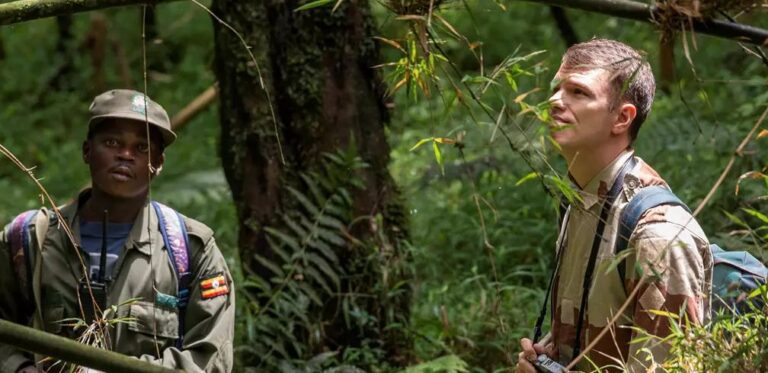 Tipping in Uganda: How Much to Tip on Your Safari Uganda Wildlife Authority ranger guide leading a gorilla trek, a key person for tipping in Uganda