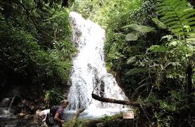 Best Uganda Family Safaris & Holiday Packages 2025/2026