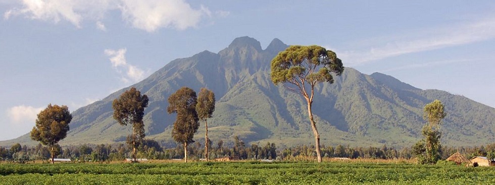 Climb Virunga Volcanoes
