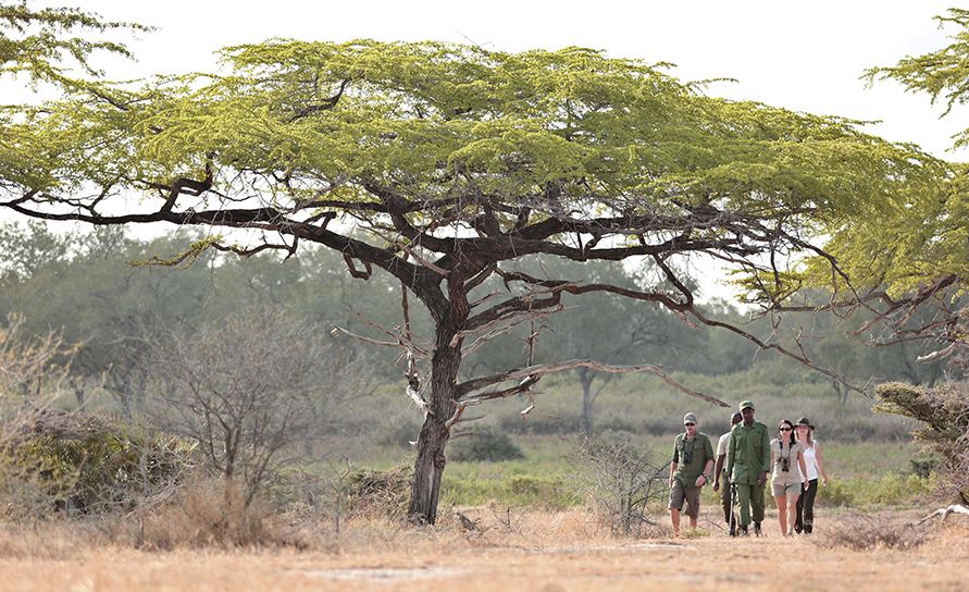 Nyerere National Park (Selous) in Tanzania
