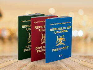 Uganda Visa Requirements: 7 Essential Things Every Traveller Must Know Uganda Visa Requirements: 7 Essential Things Every Traveller Must Know