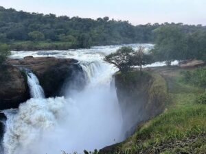 10 Days Big 5 Safari in Uganda | gorillas, Chimps,Big Game & Culture Murchison Falls
