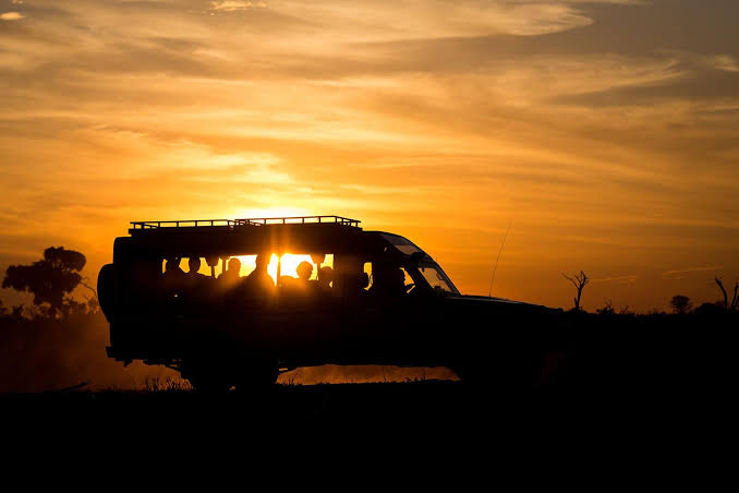 Night Game Drive Uganda: The Complete Guide to Safari After Dark Night Game Drive Uganda: The Complete Guide to Safari After Dark
