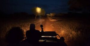 Night Game Drive Uganda: The Complete Guide to Safari After Dark Night Game Drive Uganda: The Complete Guide to Safari After Dark