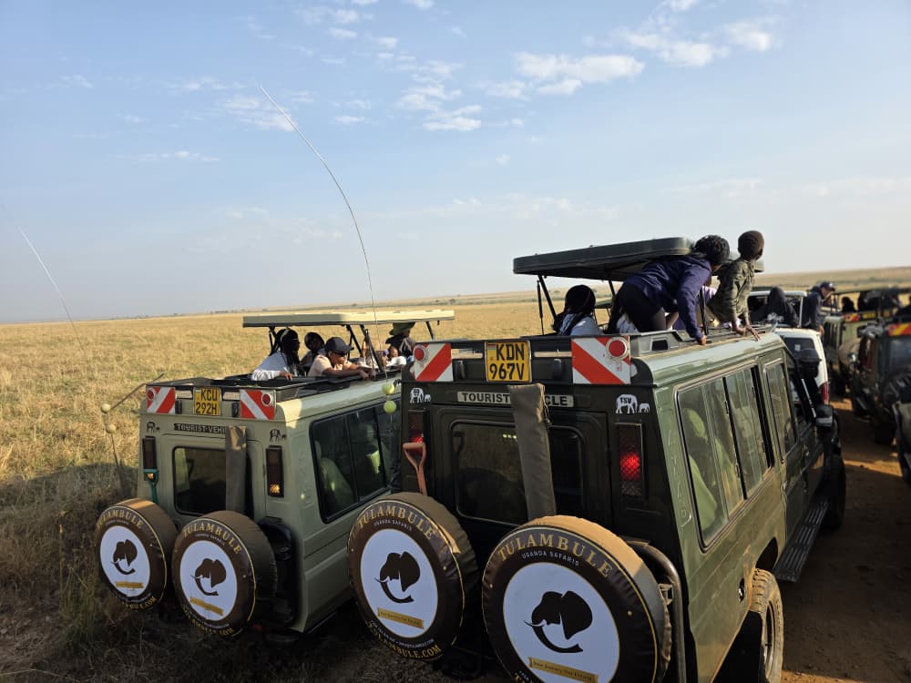 10-Day East Africa Flying Safari: Gorillas, Migration & Diani Beach East Africa flying safari