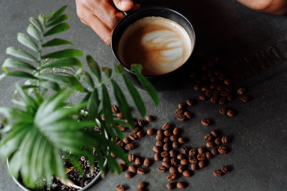 Uganda Coffee Tours: A Journey from Bean to on your safari Uganda Coffee Tours
